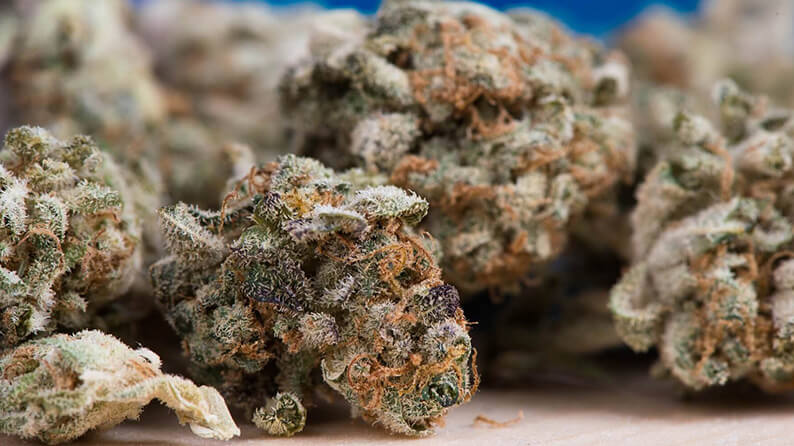 Online Cannabis Marketplace
